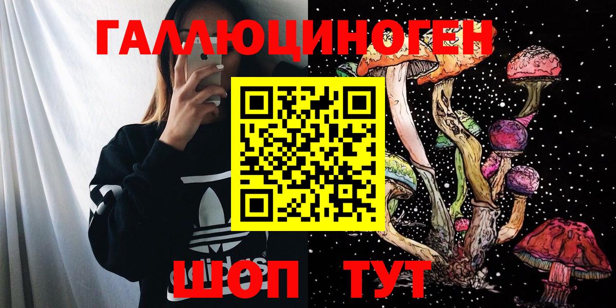 купить   Псилоцибиновые грибы GOLDEN TEACHER  Вход с VPN  Кизилюрт 