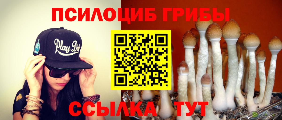 Галлюциногенные грибы Cubensis Кизилюрт